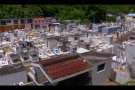 An Jounin Epi : Gardien de cimetière