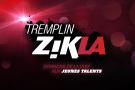 Concours Zikla 2014