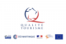 Le tourisme expérientiel par David Martin – Teaser 1